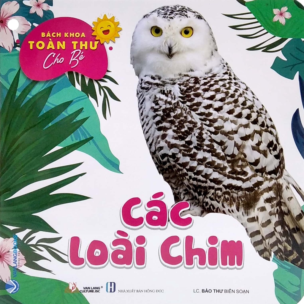 Sách Bộ Bách Khoa Toàn Thư Cho Bé - Động Vật Dưới Nước