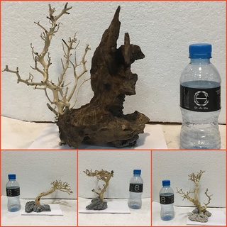 Layout, bố cục lũa thủy sinh bonsai ghép đá, bonsai lũa