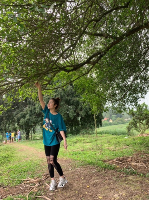 Quần rách gối