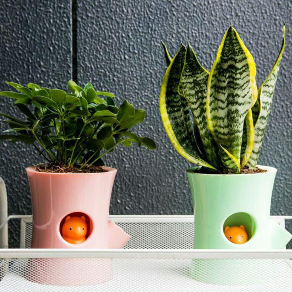 Chậu Trồng Cây Thủy Canh Tự Hút Tiện Lợi