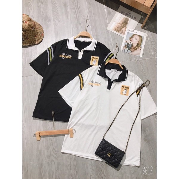 Áo polo vạch tay thỏ mập CT