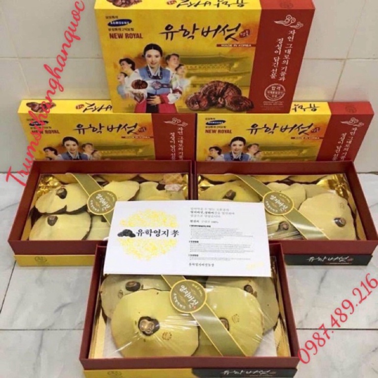 [ SALE KHỦNG ] NẤM LINH CHI VÀNG HỘP CÔ GÁI LOẠI THƯỢNG HẠNG 1KG [ Hàng Mới Về ]