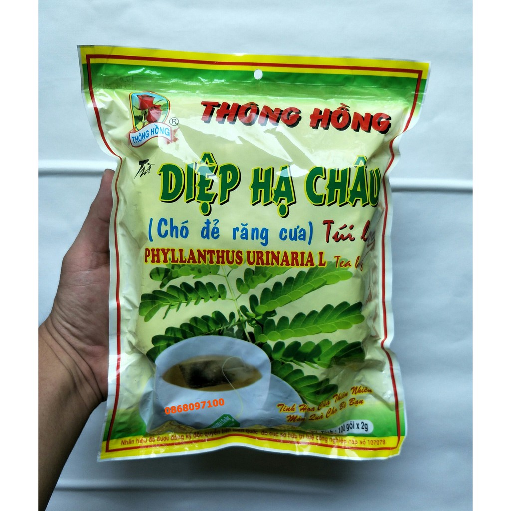 trà Diệp hạ châu 100 túi lọc chó đẻ răng cưa