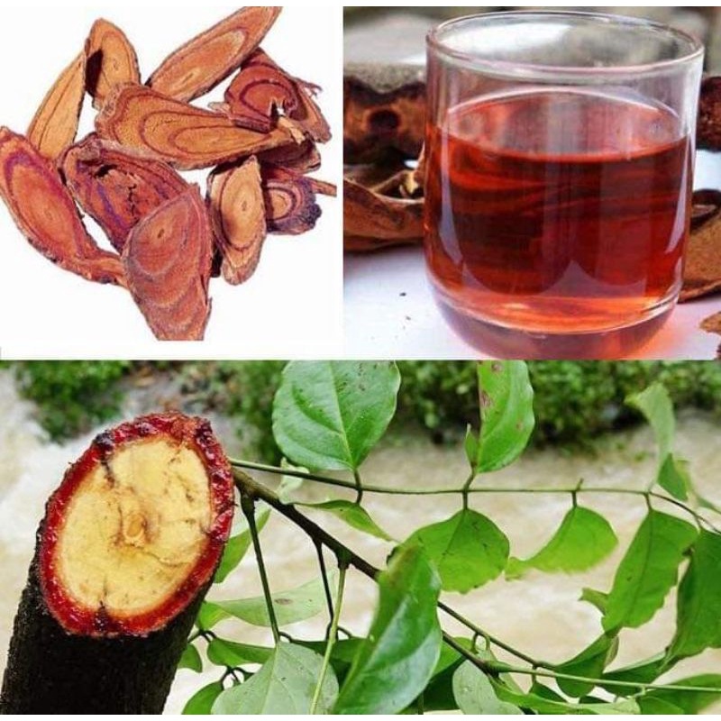 Cây cỏ máu tăng cân.bổ máu 1 túi 1 kg.