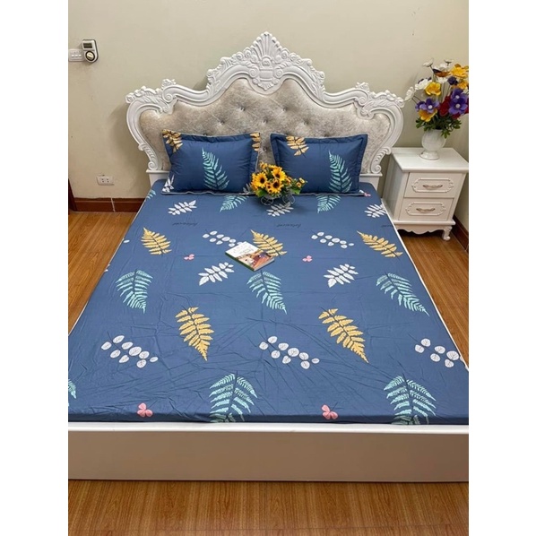 Bộ ga gối bo chun cotton 100% thoáng mát , thấm hút mồ hôi tốt hàng loại 1 dày dặn
