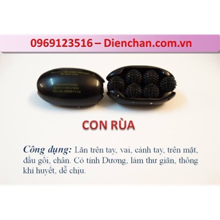 Con Rùa Diện Chẩn