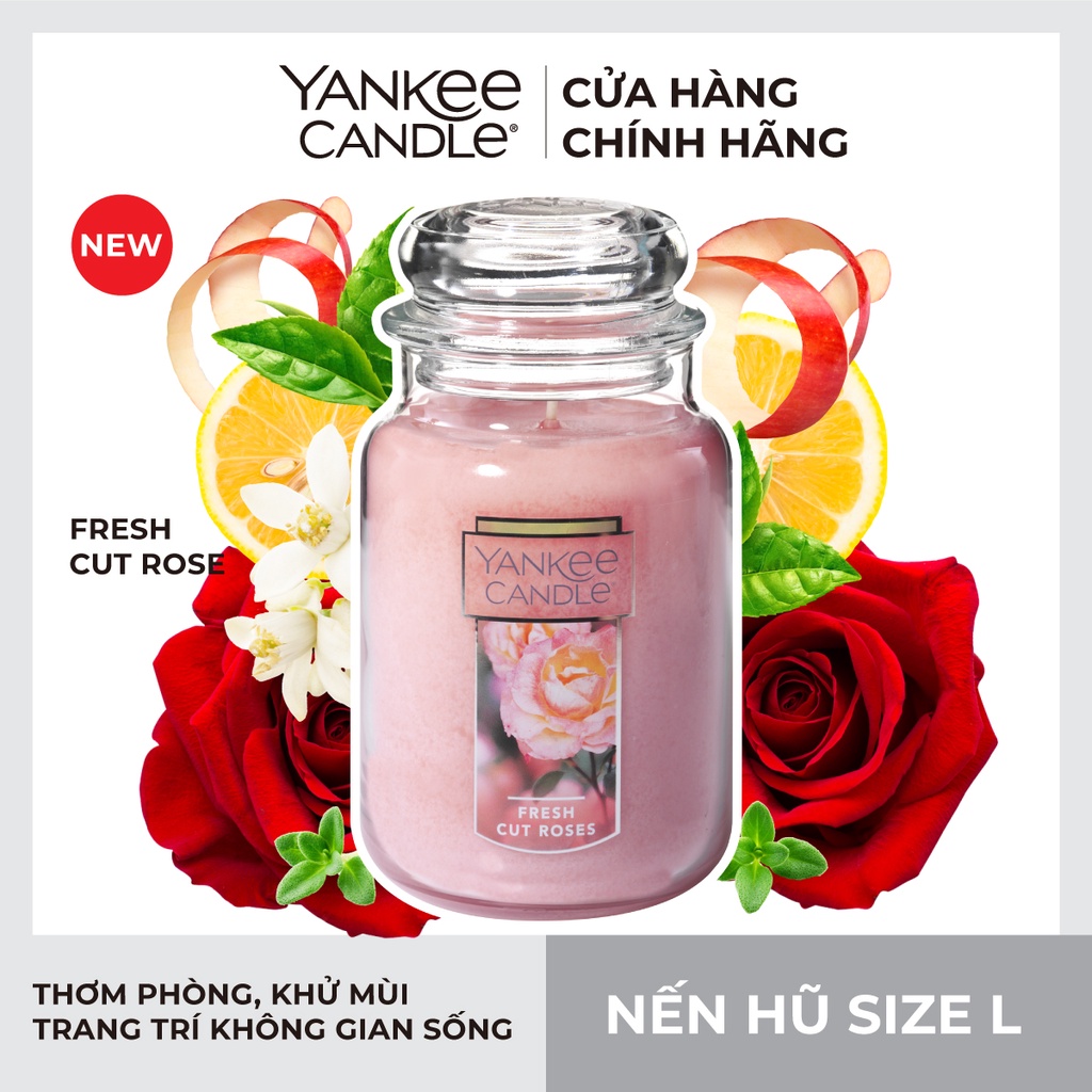 Nến hũ Yankee Candle size L - Fresh Cut Rose (623g)