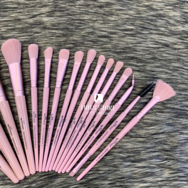 Bộ Cọ Cá Nhân RanMor Ống Hồng 16 cây