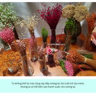 [SIÊU RẺ] Hoa khô glixia, hoa cúc nhiệt đới, hoa snowy, hoa cúc bất tử siêu đẹp, bền lên đến 10 năm nguồn gốc Brazil