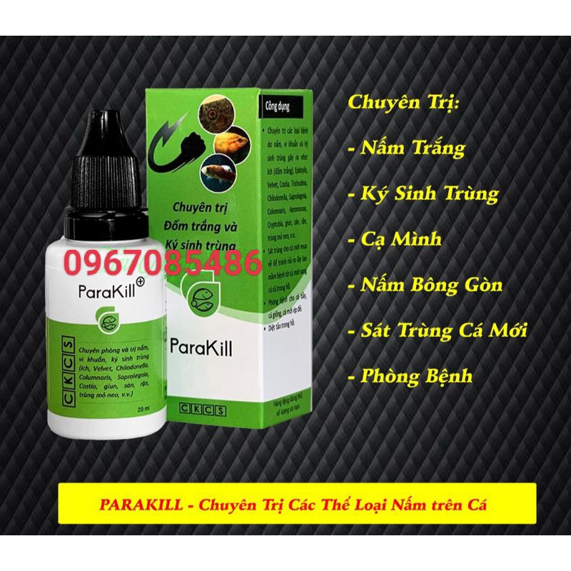 ANTI STRESS , DƯỠNG CÁ , NGỪA BỆNH , PHÒNG BỆNH CHO CÁ CẢNH , ANTI STRESS