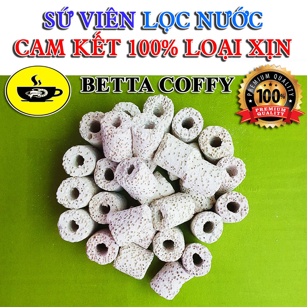 Sứ Viên - Vật Liệu Lọc Xử Lý Nước - XEM PHÂN LOẠI