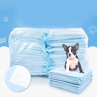 Miếng lót chuồng nhieu size cho cún