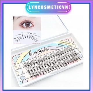 Lông Mi giả đuôi cá , mi đơn , mi chữ A  , Set mi cầu vồng giúp đôi mắt xinh như búp bê