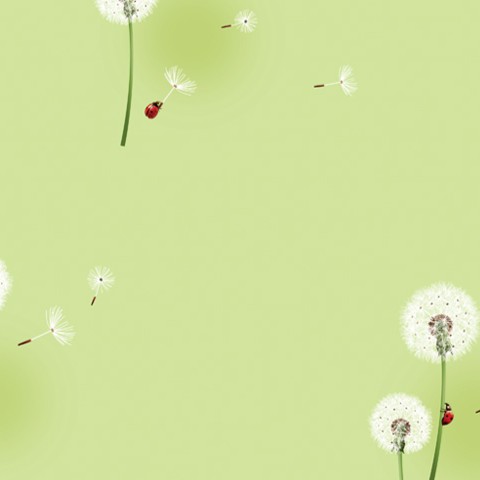 TILO Mart - Mẹ và Bé