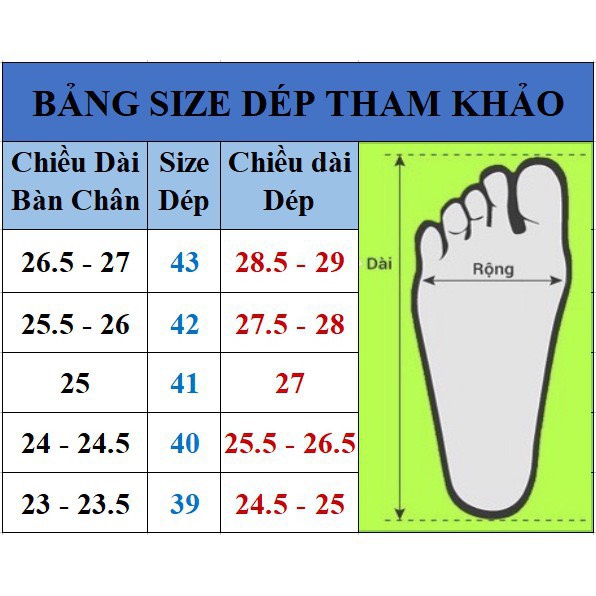 Dép lê da đế hộp ( NY 3 màu và Hoa cúc )