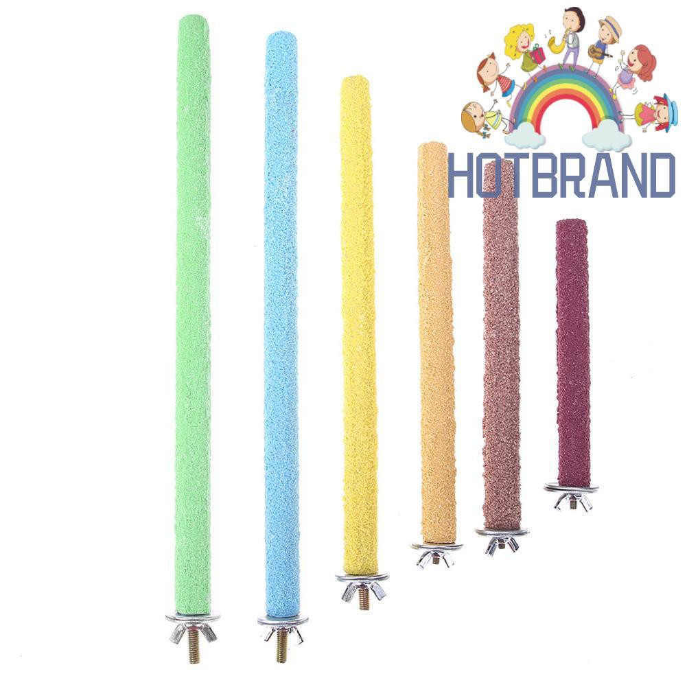 Giá đứng cho chim cảnh/vẹt nhiều màu sắc tùy chọn