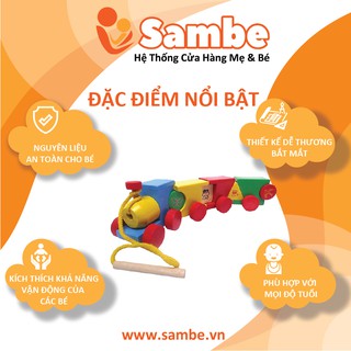Tàu luồn dây Etic C504