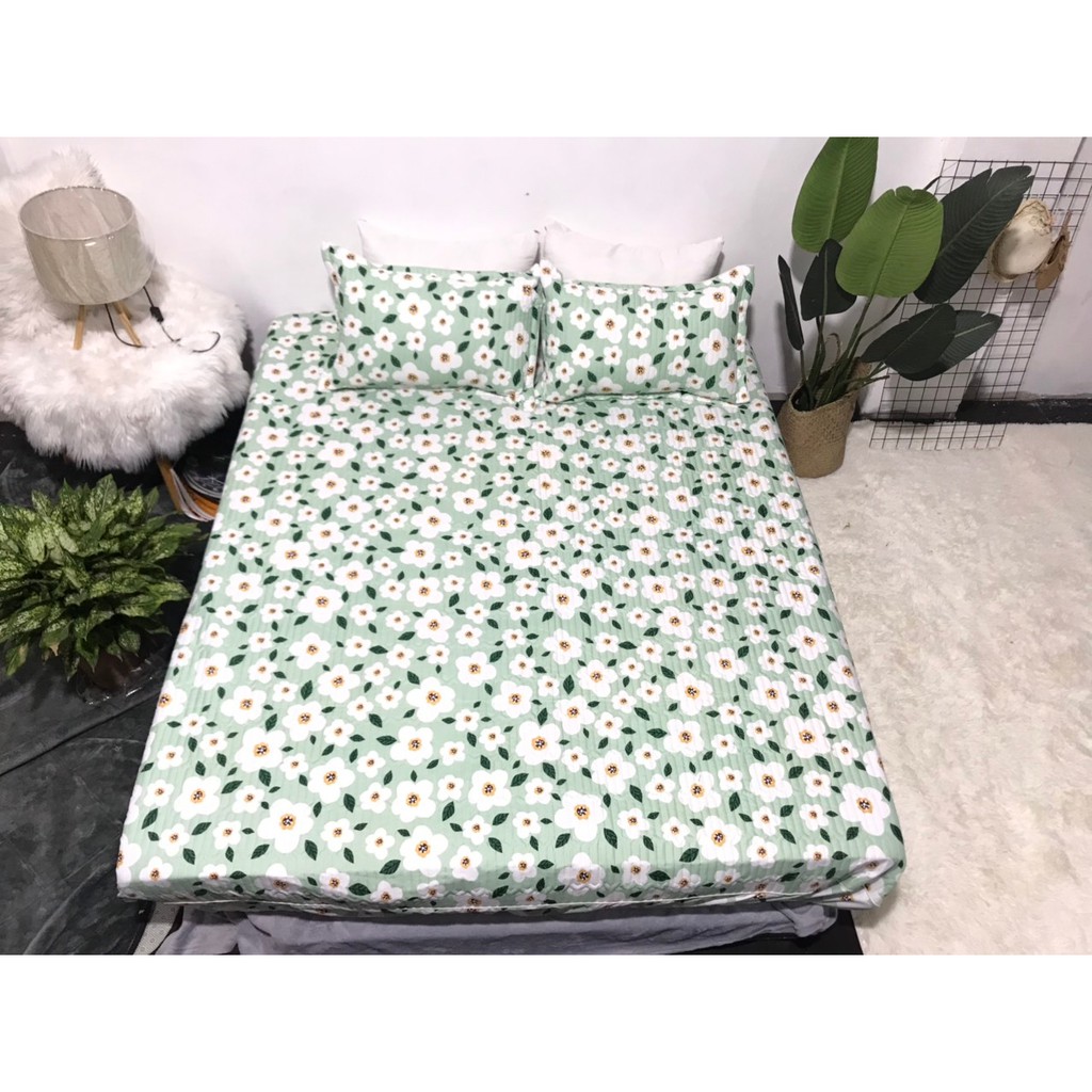 Bộ Ga Cotton Trần Hoa Nhí Nền Xanh GT04