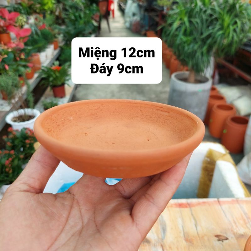 Chậu đất nung, Chậu sen đá - Dĩa lót chậu, miệng dĩa 12cm, đáy dĩa 9cm