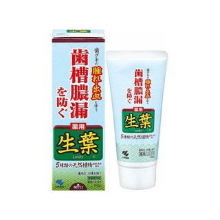 Kem Đánh Răng Thảo Dược Than Tre Kobayashi 100g Nhật Bản
