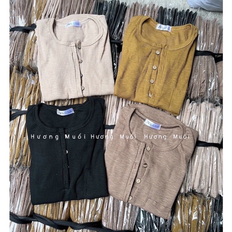 Áo thun tăm trơn cộc tay cổ cúc siêu đẹp