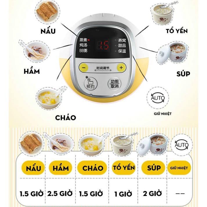 {Bản Quốc Tế, BH 18 Tháng Chính Hãng} - Nồi Nấu Cháo Chậm, Nồi Ninh Hầm Đa Năng BEAR Dung Tích 0,8L