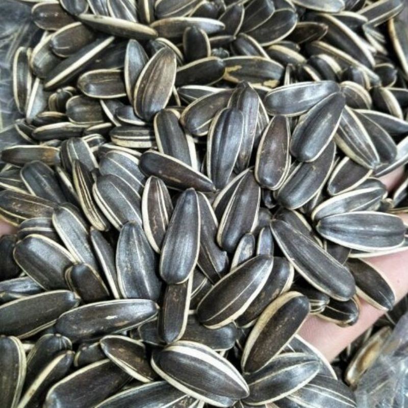 Hạt Hướng Dương Duy Ký Túi 1KG Loại ĐẶC BIỆT [FREE SHIP] TỪ ĐƠN 50K, [Loại Đặc Biệt]