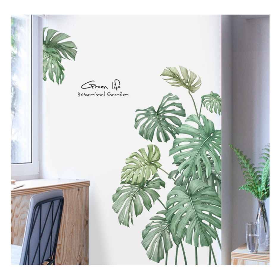 Decal trang trí tường Trầu bà lá xẻ hiện đại