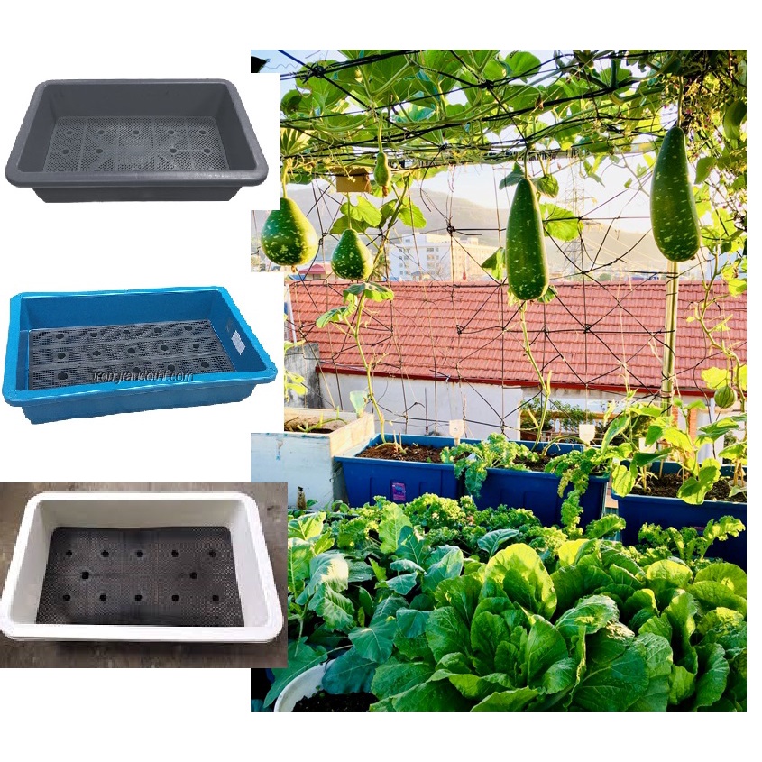 (Now/ Grap ship) Chậu trồng rau kèm lưới thông minh size to 67cm - Khay nhựa đen-xanh, trắng trồng rau 68 cm