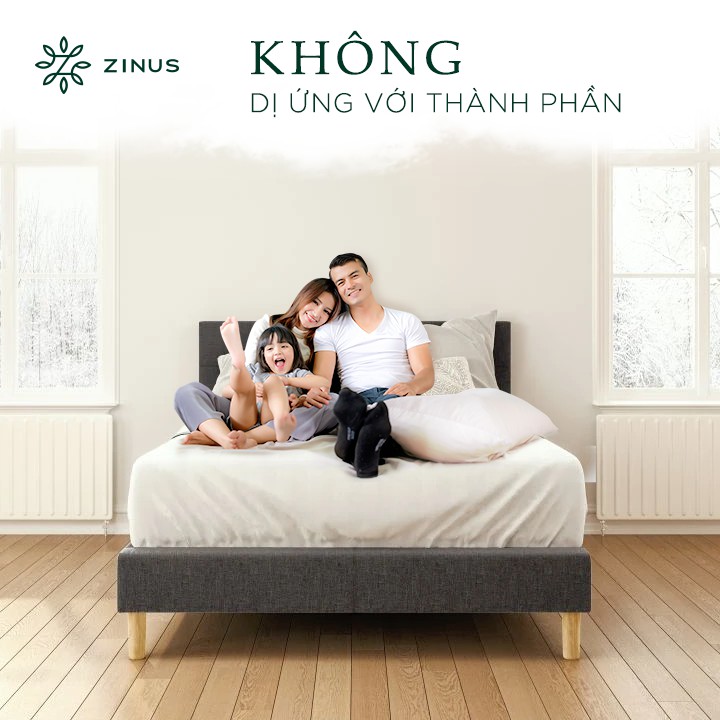 [Mã LIFEZI99 giảm 8% tối đa 50K đơn 99K] Nệm Lò Xo Túi Hút Chân Không Cao Cấp Gel Mát Zinus 180x200x30cm