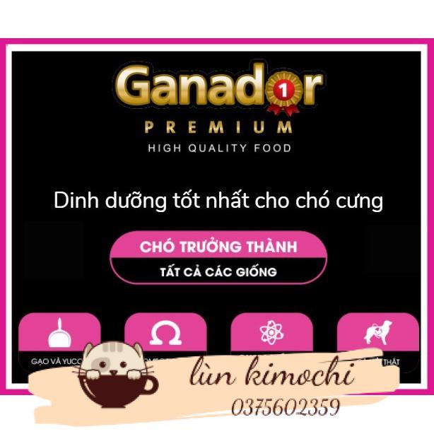 Thức Ăn Cho Chó Trưởng Thành Ganador Adult Salmon &amp; Rice (Vị Cá Hồi &amp; Gạo) 400gr