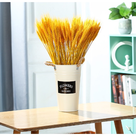 Lúa mạch khô decor nhà cửa, bàn ăn. Hoa Khô phụ kiện trang trí chụp ảnh food, chụp bánh
