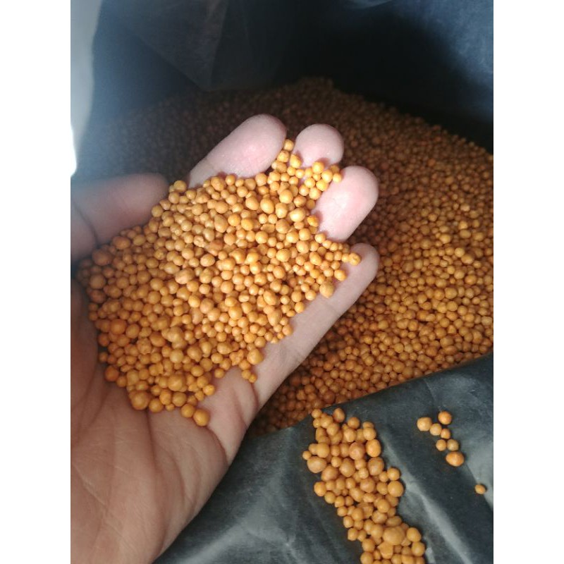 100g phân tan chậm vàng 14 14 14 cho sen đá xương rồng  hoa lan cây cảnh kim tien cây nội thất