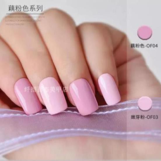 Sơn Gel Kaniu set 21 bền màu cực kì mướt 12ML Dành cho tiệm nail chuyên nghiệp