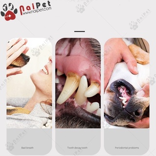 Bộ Đánh Răng Cho Chó Mèo Pet Joothpaste