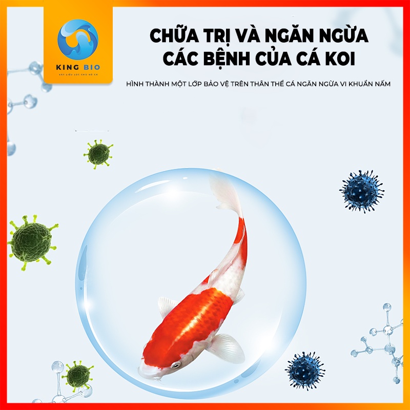 Yee Koi Fish thuốc chuyên đặc trị bệnh nấm, thối mang, thối đuôi và ngoài da cho cá Koi
