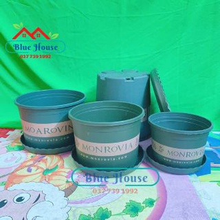 Chậu monrovia lun nhập khẩu size 1 - 4