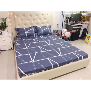 Bộ 1 vỏ ga + 2 vỏ gối cotton 100%