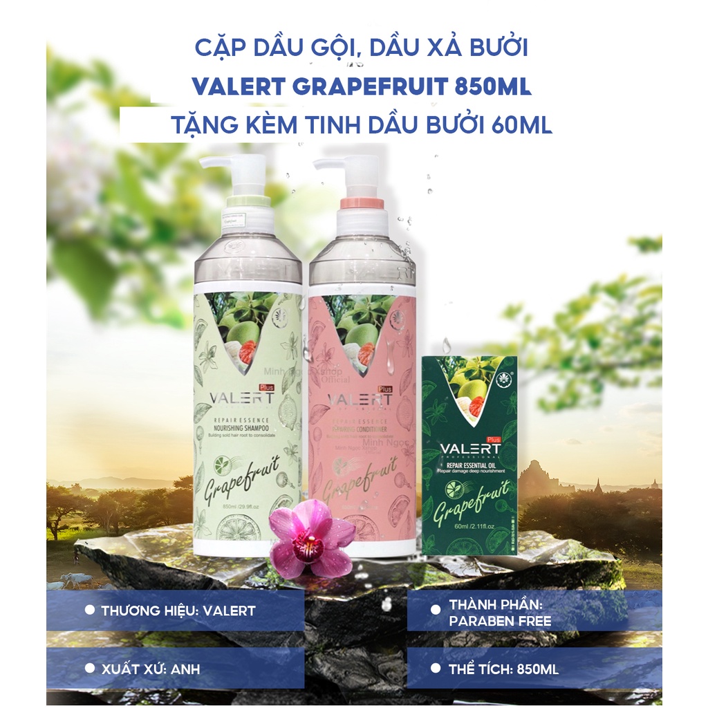 Dầu gội bưởi - dầu xả bưởi, dầu cặp VALERT GRAPEFRUIT 850ml tặng tinh dầu bưởi 60ml chống rụng kích mọc tóc