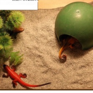 Cát sa mạc lót chuồng pets ( 1 bịch 1,8 kg)