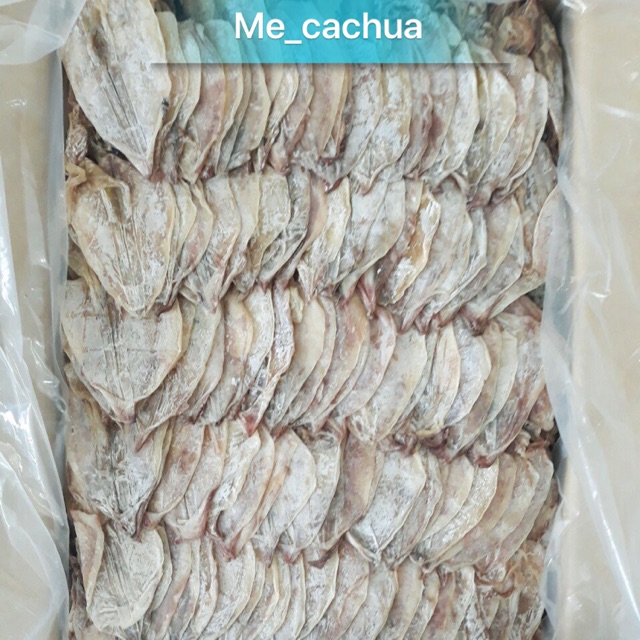 [500g] Khô mực câu Sông Đốc 140-160 con/kg - dày mình, đều con, ngon bổ rẻ cho dân mê mực nướng