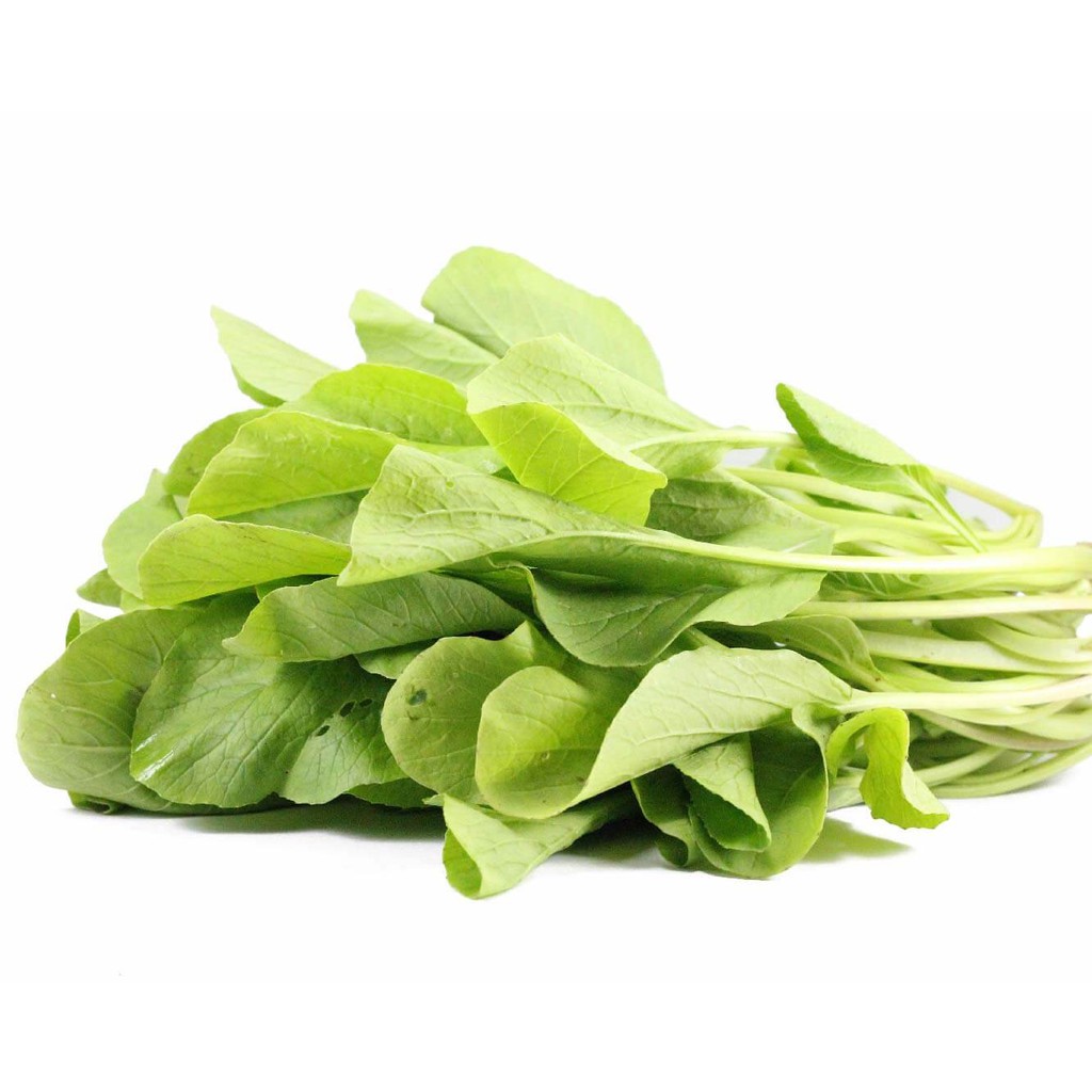 HẠT GIỐNG CẢI NGỌT(CHẤT LƯỢNG-UY TÍN)