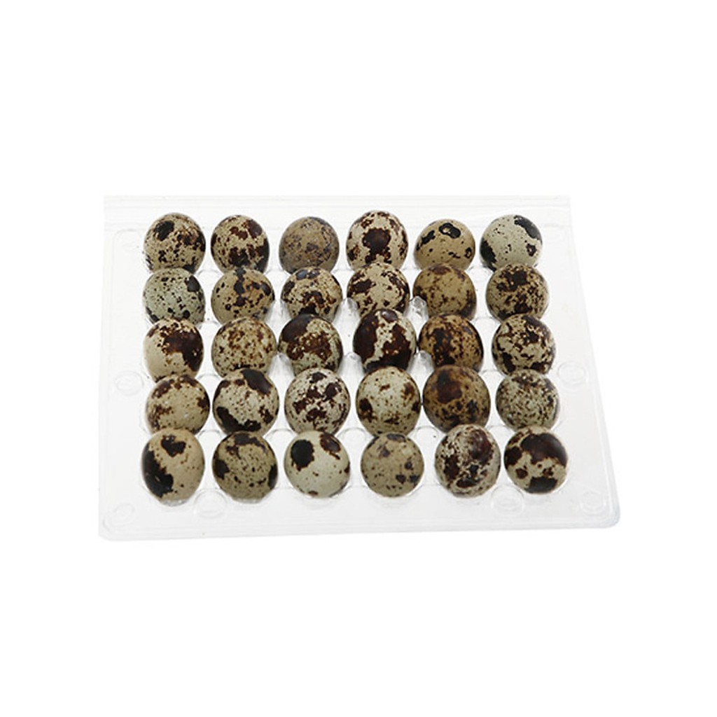 Trứng cút tươi vỉ 30 trứng