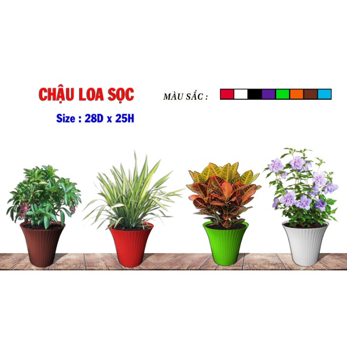 Chậu Loa Sọc 28x24cm Nhiều Màu Trồng Cây, Hoa Kiểng