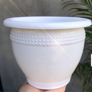 Chậu nhựa để bàn màu trắng