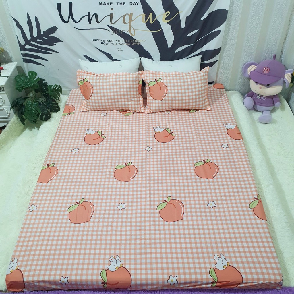 Combo Bộ Ga Gối Cotton Poly 1m4x2m-1m6x2m