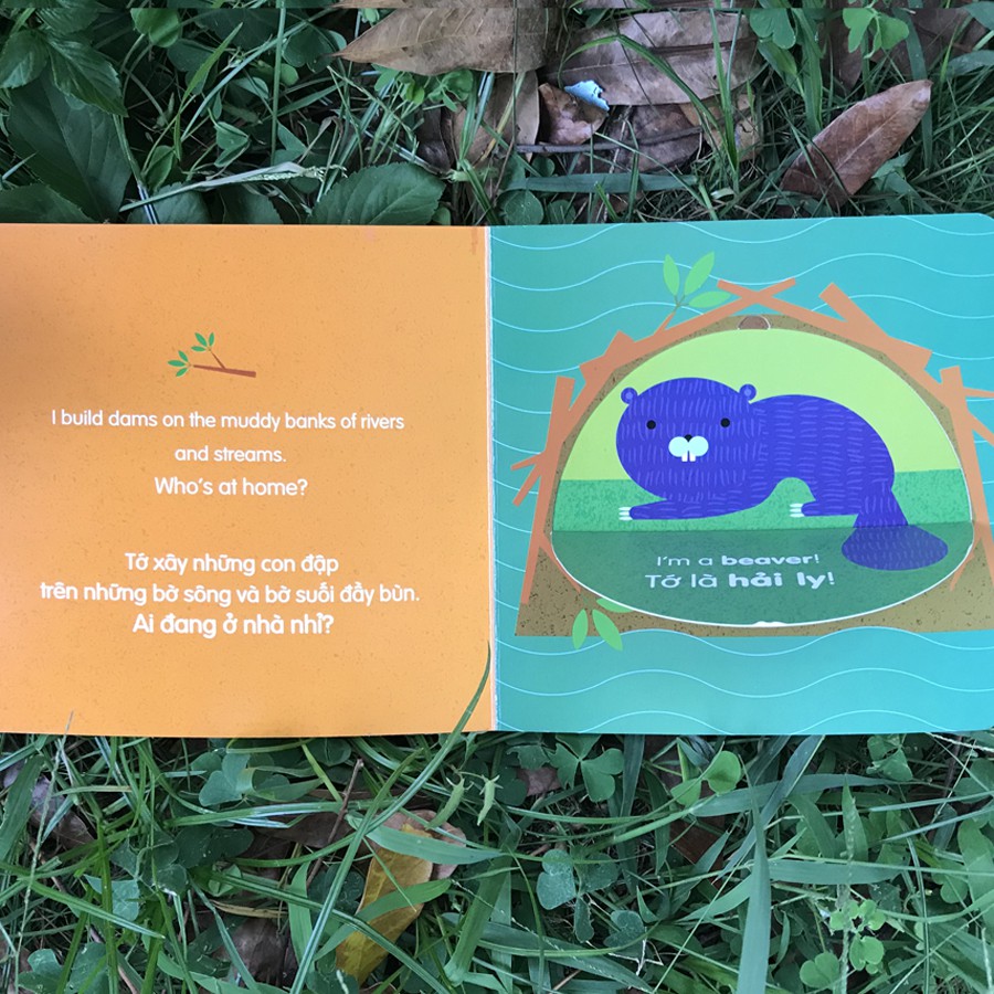 Sách - Ai đang ở nhà nhỉ? (Lift The Flap - Lật mở khám phá) | BigBuy360 - bigbuy360.vn