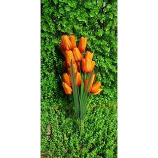 HOA TULIP VẢI