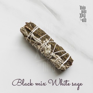 Black and white sage - thảo mộc xông nhà
