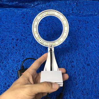 ĐÈN LED TRÒN XML TRẮNG - 3 MÀU KẸP BỂ CÁ